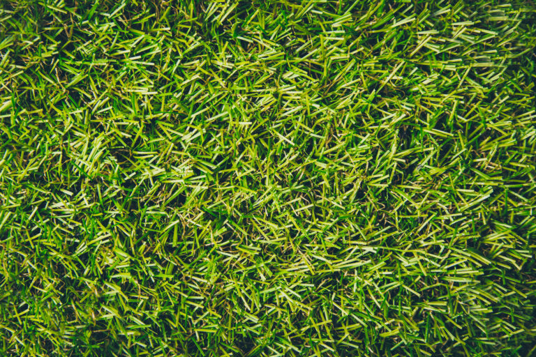 Artificial Turf Vs Grass: A Comparative Guide With Pros And Cons ...